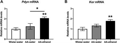 Repeated Ethanol Exposure Alters DNA Methylation Status and Dynorphin/Kappa-Opioid Receptor Expression in Nucleus Accumbens of Alcohol-Preferring AA Rats